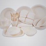 Bagasse: What is it?