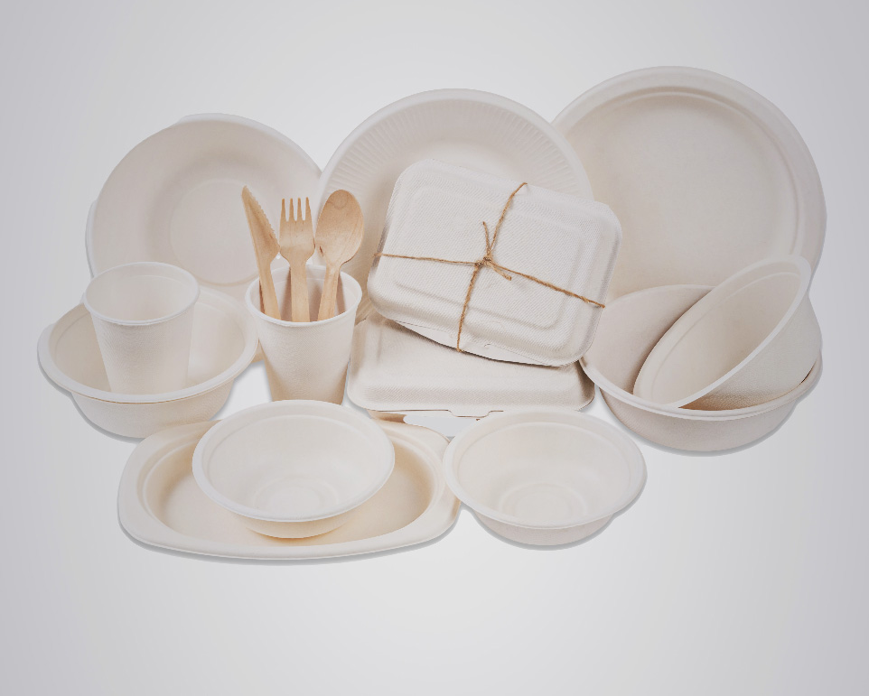 Bagasse: What is it?