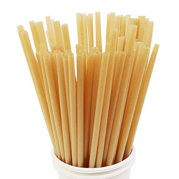 Earthify 6mm Bagasse Straws – 10×100