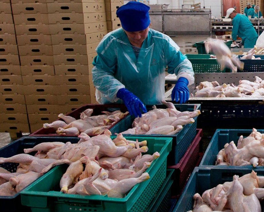 Catering for Events: Bulk Fresh Poultry Solutions for Catering Companies