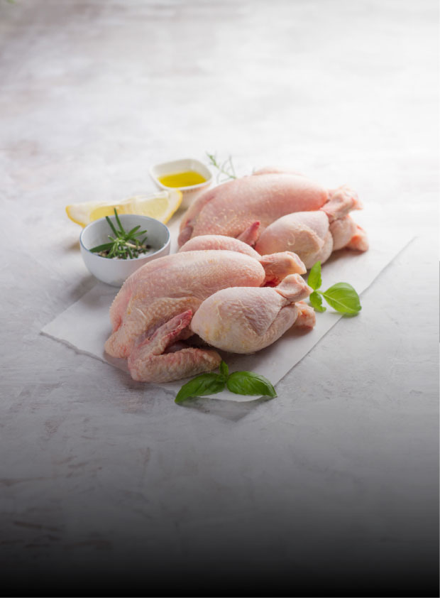 Frozen Halal Chicken