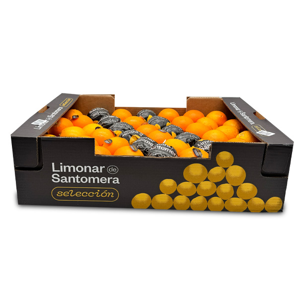 Oranges-15kg