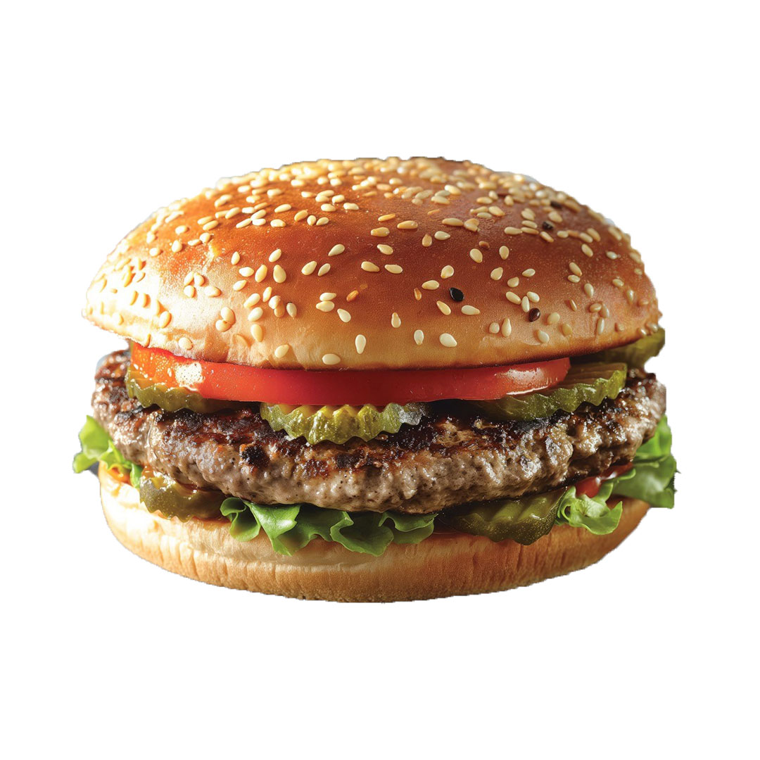 Paragon-4oz-Superior-Beef-Burger-48x113g