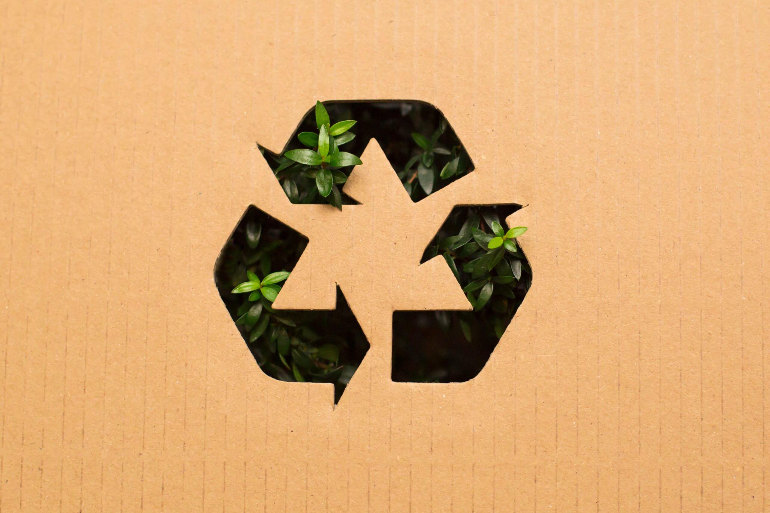 Use of Recycled Packaging