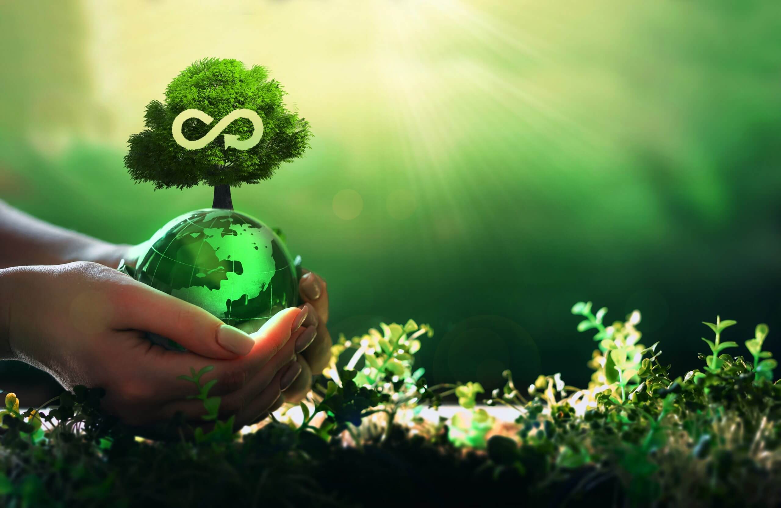 Sustainable Sourcing